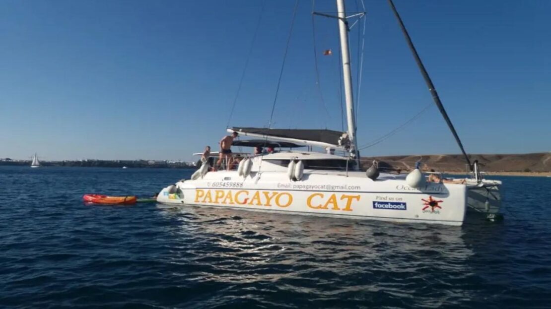 video image