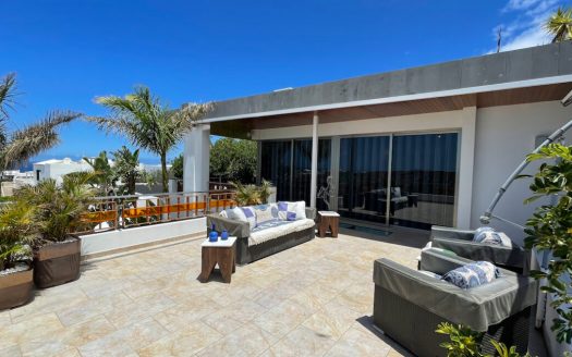 Luxury villa with 3 guest apartments